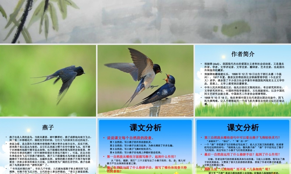 三年级语文下册 第一单元 1《燕子》教学课件 苏教版-苏教版小学三年级下册语文课件