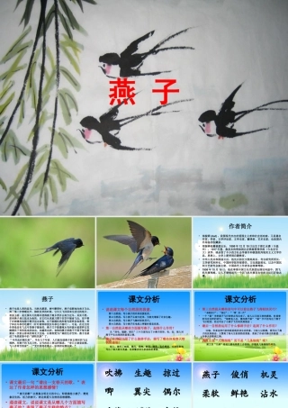 三年级语文下册 第一单元 1《燕子》教学课件 苏教版-苏教版小学三年级下册语文课件