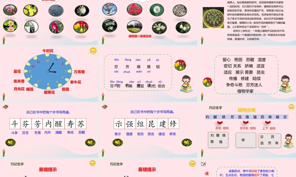 三年级语文下册 第四单元 13 花钟课件1 新人教版-新人教级下册语文课件