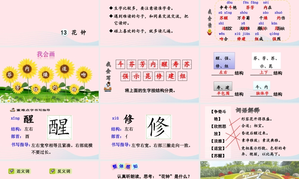 三年级语文下册 第四单元 13 花钟课件2 新人教版-新人教版小学三年级下册语文课件