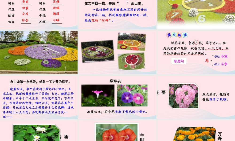 三年级语文下册 第四单元 13 花钟课件2 新人教版-新人教版小学三年级下册语文课件