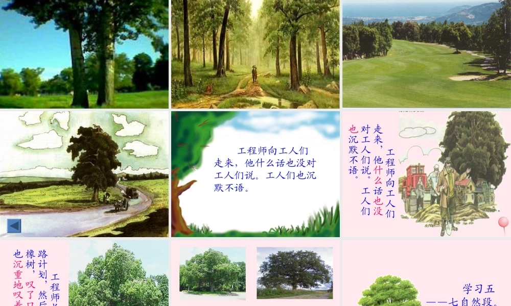三年级语文下册 第二组 8《路旁的橡树》课堂教学课件1 新人教版-新人教版小学三年级下册语文课件