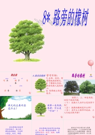 三年级语文下册 第二组 8《路旁的橡树》课堂教学课件1 新人教版-新人教版小学三年级下册语文课件