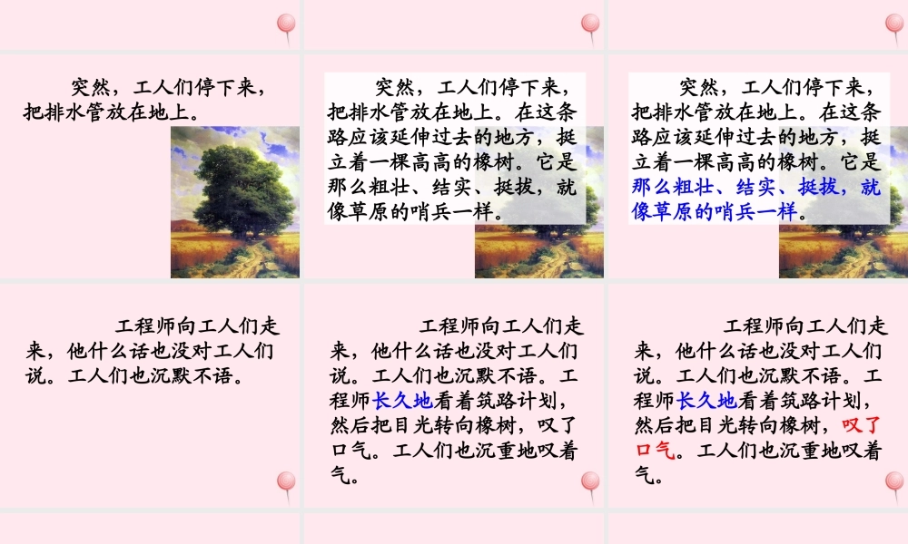 三年级语文下册 第二组 8《路旁的橡树》课堂教学课件2 新人教版-新人教版小学三年级下册语文课件