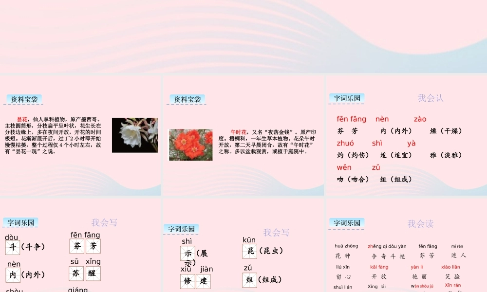 三年级语文下册 第四单元 13 花钟课件2 新人教版-新人教级下册语文课件