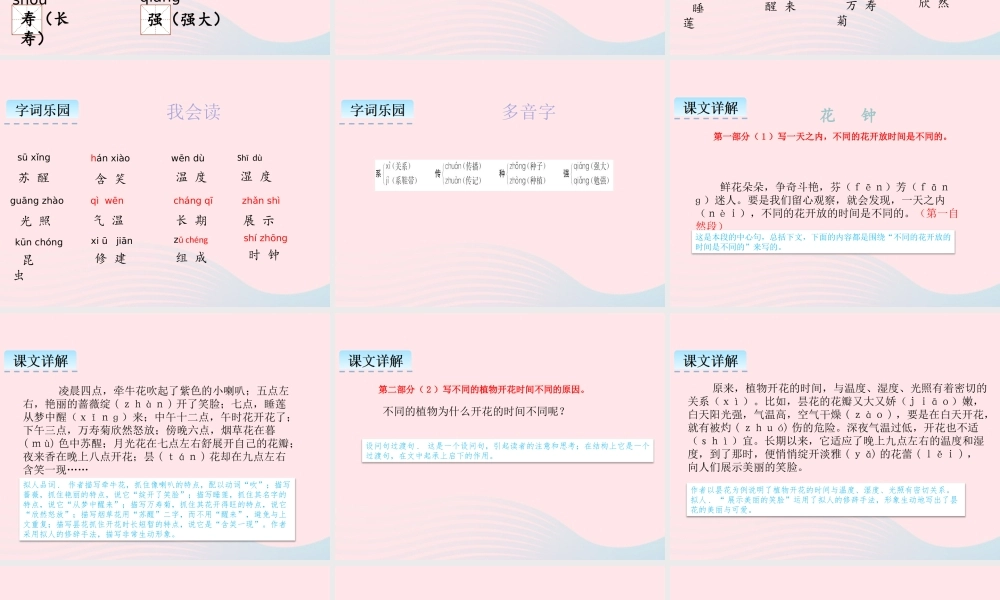 三年级语文下册 第四单元 13 花钟课件2 新人教版-新人教级下册语文课件