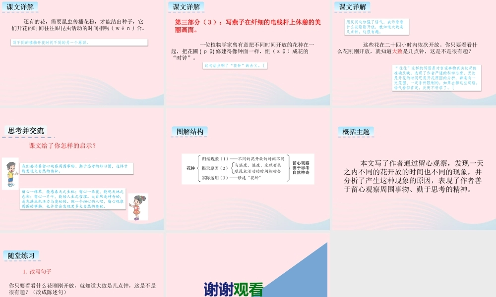 三年级语文下册 第四单元 13 花钟课件2 新人教版-新人教级下册语文课件