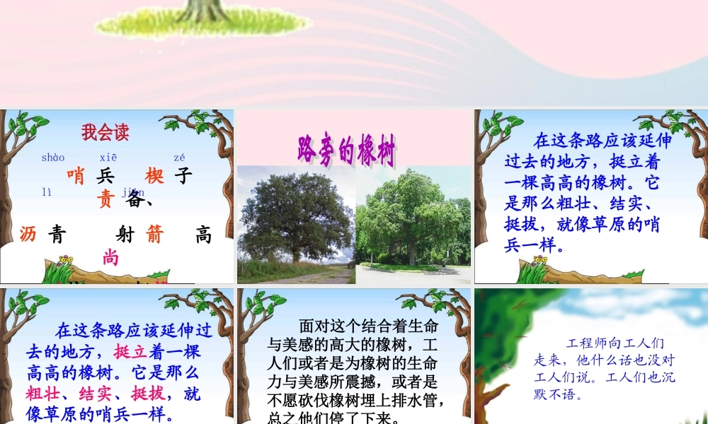 三年级语文下册 第二组 8《路旁的橡树》课堂教学课件3 新人教版-新人教版小学三年级下册语文课件