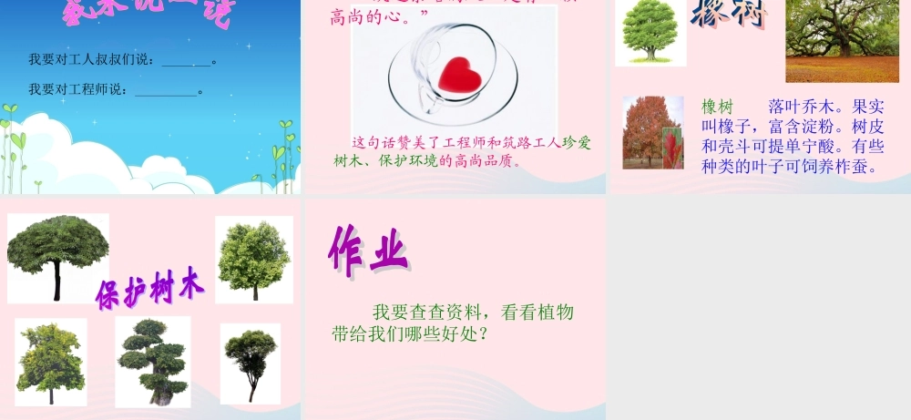 三年级语文下册 第二组 8《路旁的橡树》课堂教学课件3 新人教版-新人教版小学三年级下册语文课件