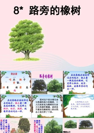 三年级语文下册 第二组 8《路旁的橡树》课堂教学课件3 新人教版-新人教版小学三年级下册语文课件