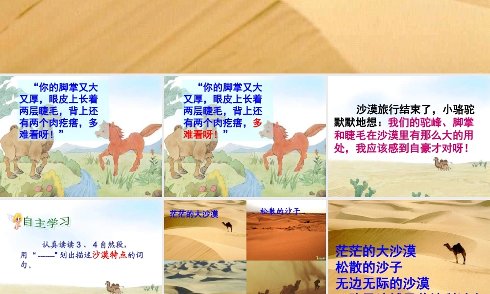 三年级语文下册 第五单元 14我应该感到自豪才对课件1 苏教版-苏教版小学三年级下册语文课件