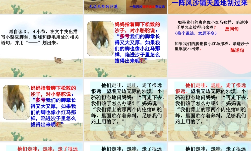 三年级语文下册 第五单元 14我应该感到自豪才对课件1 苏教版-苏教版小学三年级下册语文课件