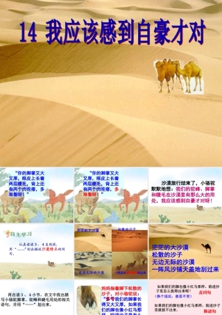 三年级语文下册 第五单元 14我应该感到自豪才对课件1 苏教版-苏教版小学三年级下册语文课件