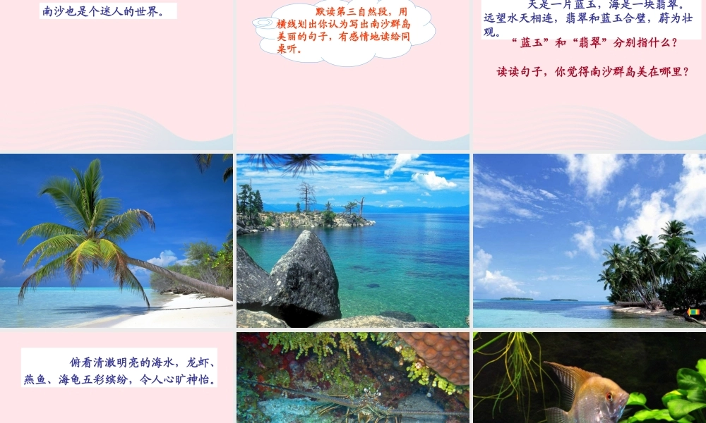 三年级语文下册 第一单元 2 美丽的南沙群岛课件2 苏教版-苏教版小学三年级下册语文课件