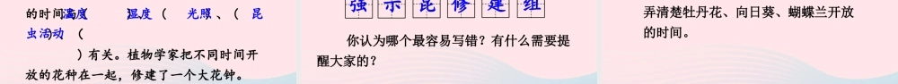三年级语文下册 第四单元 13《花钟》教学课件 新人教版-新人教版小学三年级下册语文课件