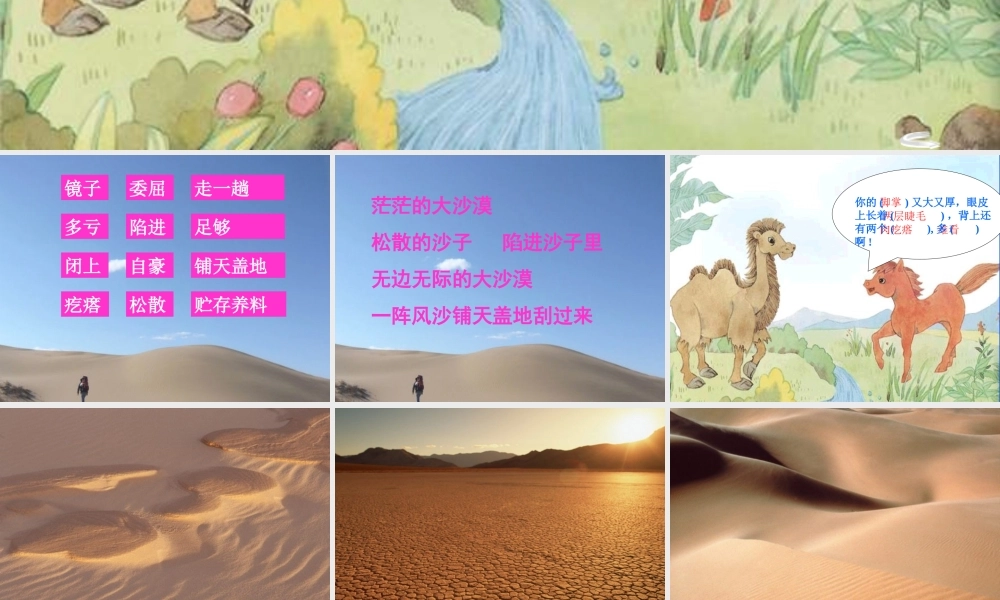 三年级语文下册 第五单元 14我应该感到自豪才对课件2 苏教版-苏教版小学三年级下册语文课件