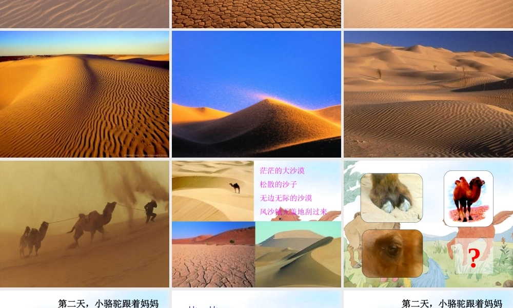 三年级语文下册 第五单元 14我应该感到自豪才对课件2 苏教版-苏教版小学三年级下册语文课件