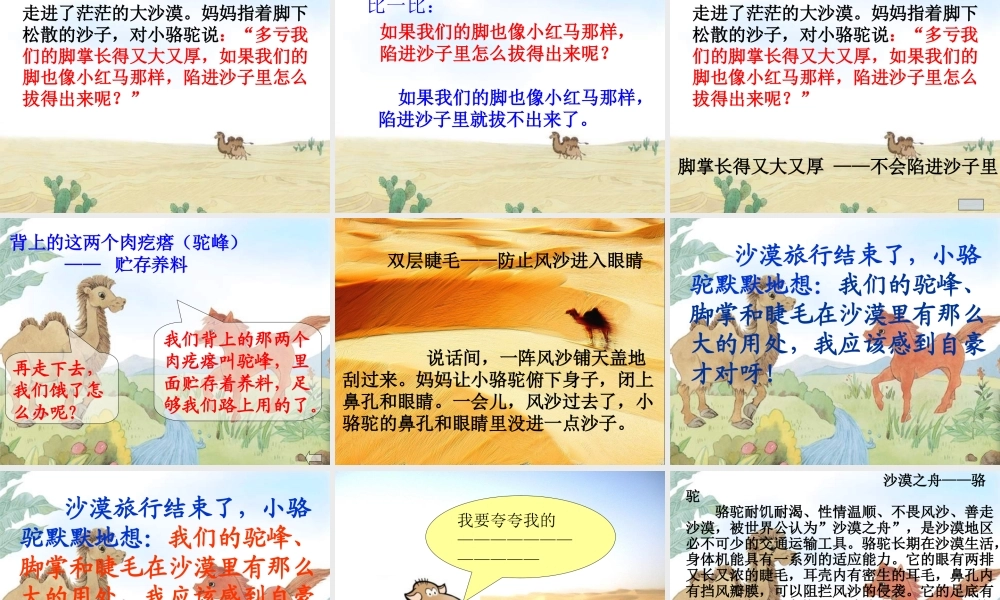 三年级语文下册 第五单元 14我应该感到自豪才对课件2 苏教版-苏教版小学三年级下册语文课件