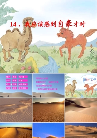 三年级语文下册 第五单元 14我应该感到自豪才对课件2 苏教版-苏教版小学三年级下册语文课件