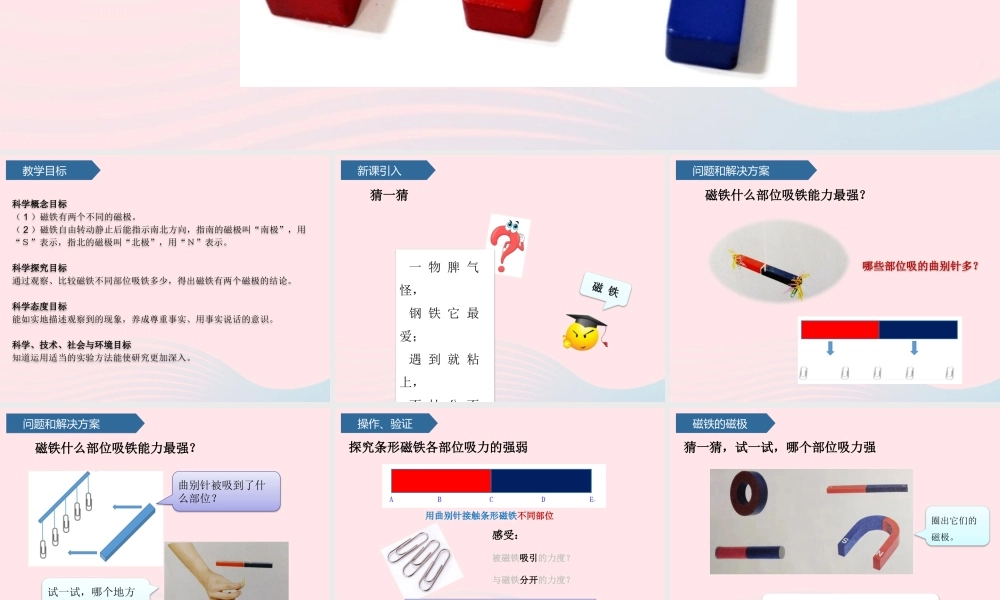 二年级科学下册 第二单元 磁铁 第4课 认识磁极课件 青岛版五四制-青岛版小学二年级下册自然科学课件