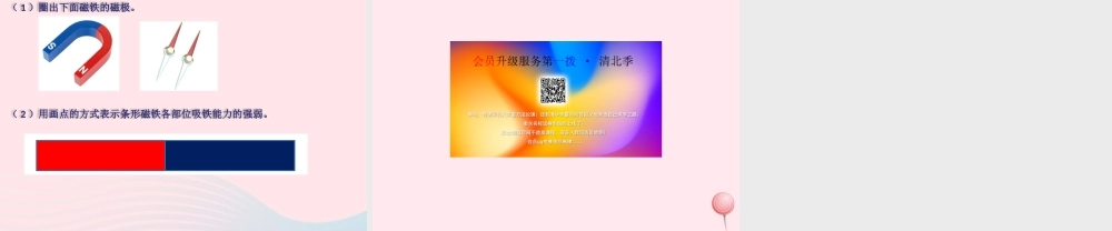 二年级科学下册 第二单元 磁铁 第4课 认识磁极课件 青岛版五四制-青岛版小学二年级下册自然科学课件