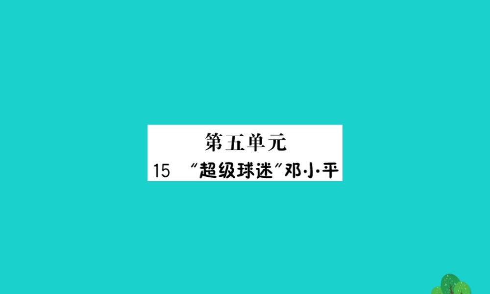 三年级语文下册 第五单元 15《超级球迷邓小平》预习课件 苏教版-苏教版小学三年级下册语文课件