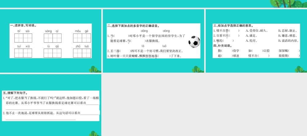 三年级语文下册 第五单元 15《超级球迷邓小平》作业课件 苏教版-苏教版小学三年级下册语文课件