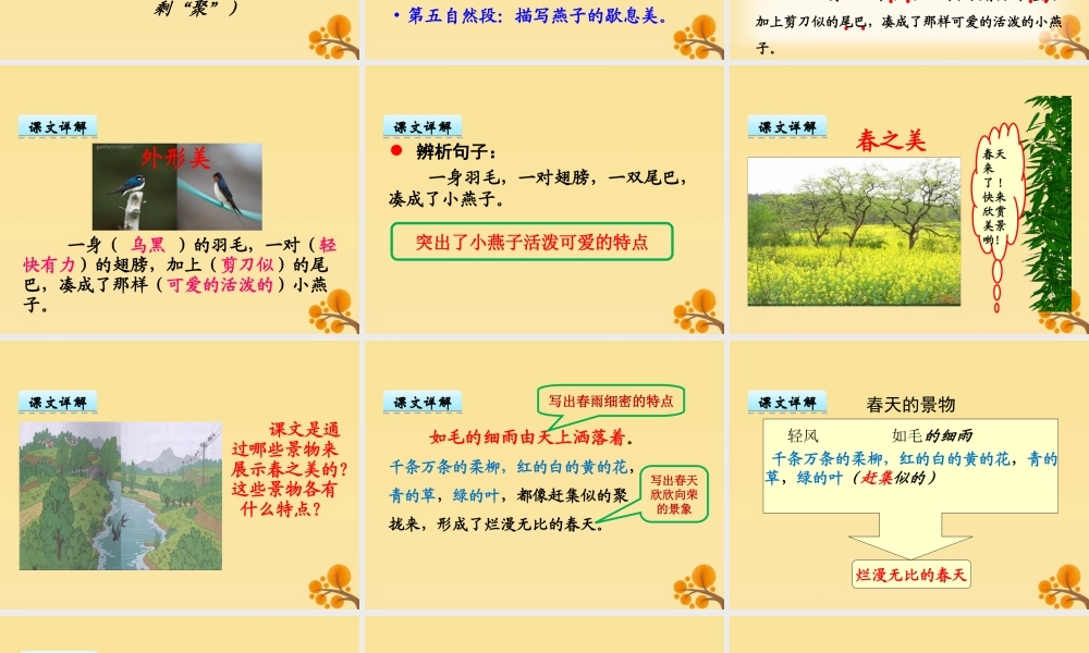 三年级语文下册 第一单元 2 燕子教学课件 新人教版-新人教版小学三年级下册语文课件