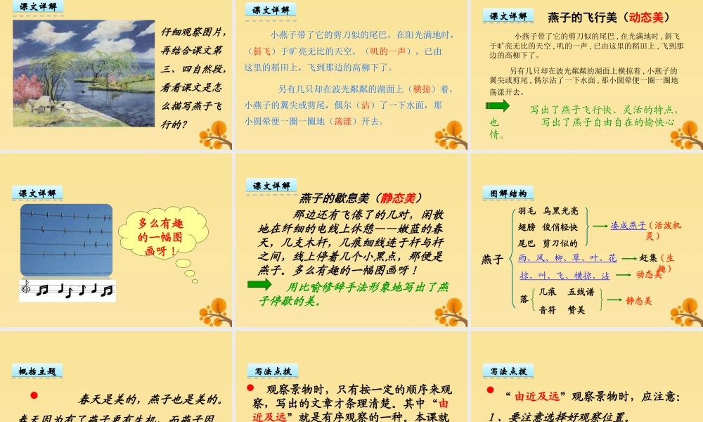 三年级语文下册 第一单元 2 燕子教学课件 新人教版-新人教版小学三年级下册语文课件