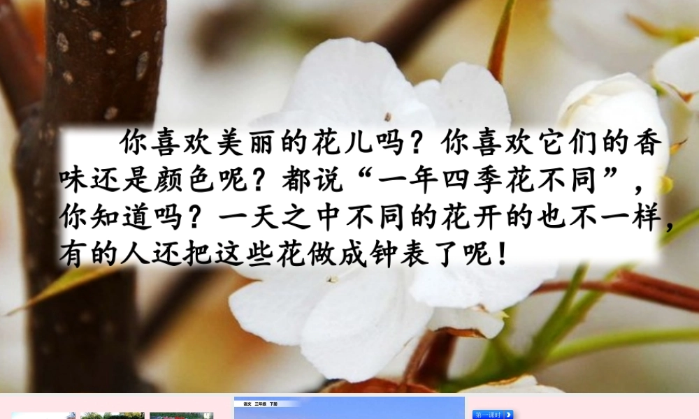 三年级语文下册 第四单元 13《花钟》教学课件 新人教版-新人教级下册语文课件