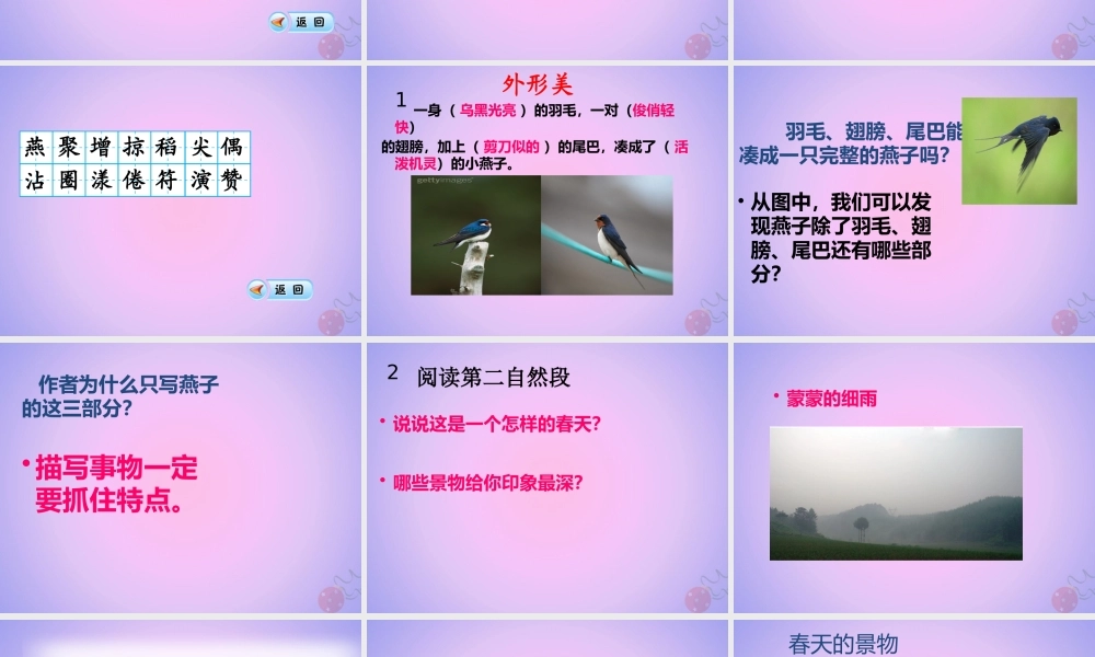 三年级语文下册 第一单元 2 燕子课件 新人教版-新人教版小学三年级下册语文课件