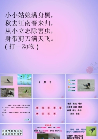 三年级语文下册 第一单元 2 燕子课件 新人教版-新人教版小学三年级下册语文课件