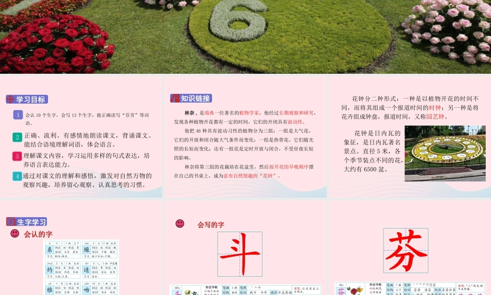 三年级语文下册 第四单元 13《花钟》课堂教学课件 新人教版-新人教版小学三年级下册语文课件