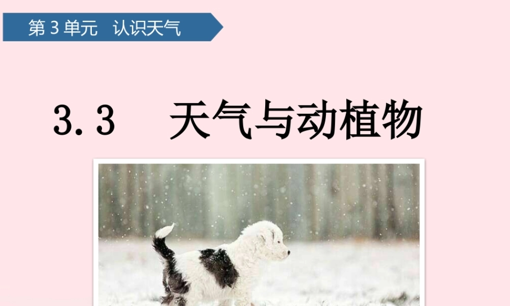 二年级科学下册 第三单元 认识天气 第9课 天气与动植物课件 青岛版五四制-青岛版小学二年级下册自然科学课件