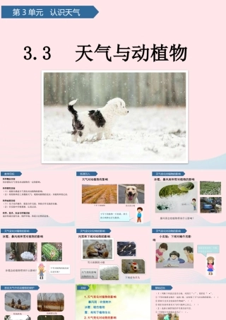 二年级科学下册 第三单元 认识天气 第9课 天气与动植物课件 青岛版五四制-青岛版小学二年级下册自然科学课件