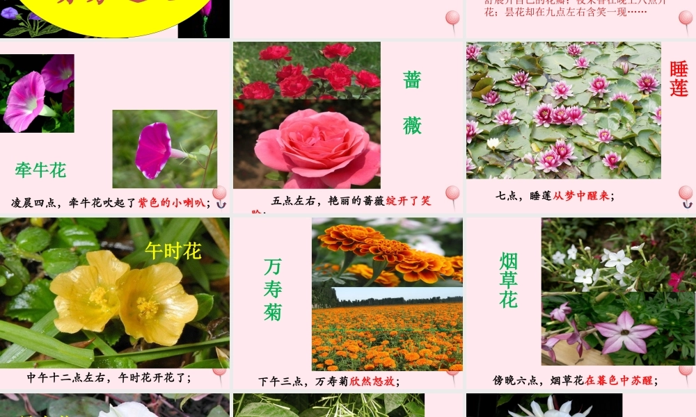 三年级语文下册 第四单元 13《花钟》课堂教学课件1 新人教版-新人教版小学三年级下册语文课件