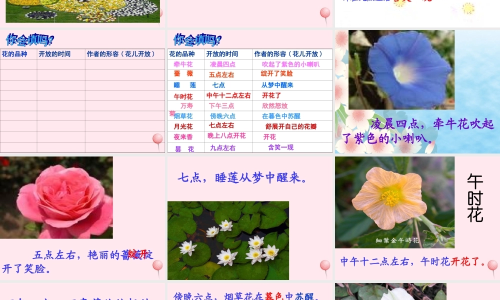 三年级语文下册 第四单元 13《花钟》课堂教学课件2 新人教版-新人教版小学三年级下册语文课件