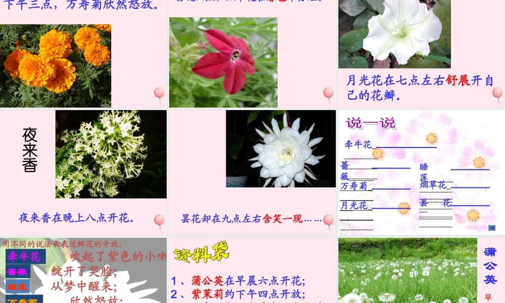 三年级语文下册 第四单元 13《花钟》课堂教学课件2 新人教版-新人教版小学三年级下册语文课件