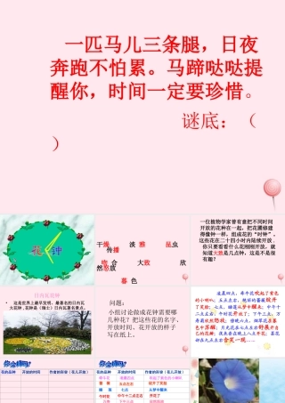 三年级语文下册 第四单元 13《花钟》课堂教学课件2 新人教版-新人教版小学三年级下册语文课件