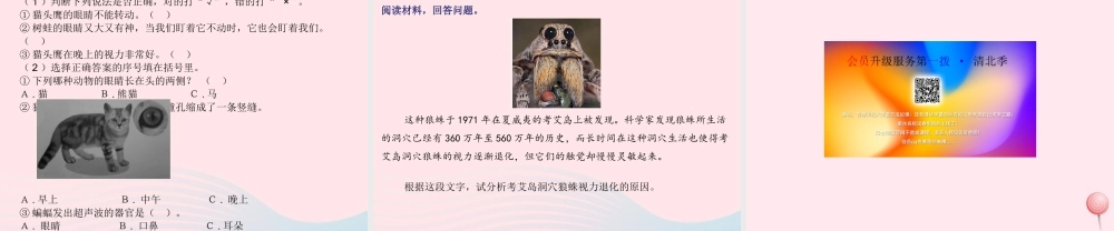 二年级科学下册 第四单元 动物与环境 第11课 动物的眼睛课件 青岛版五四制-青岛版小学二年级下册自然科学课件