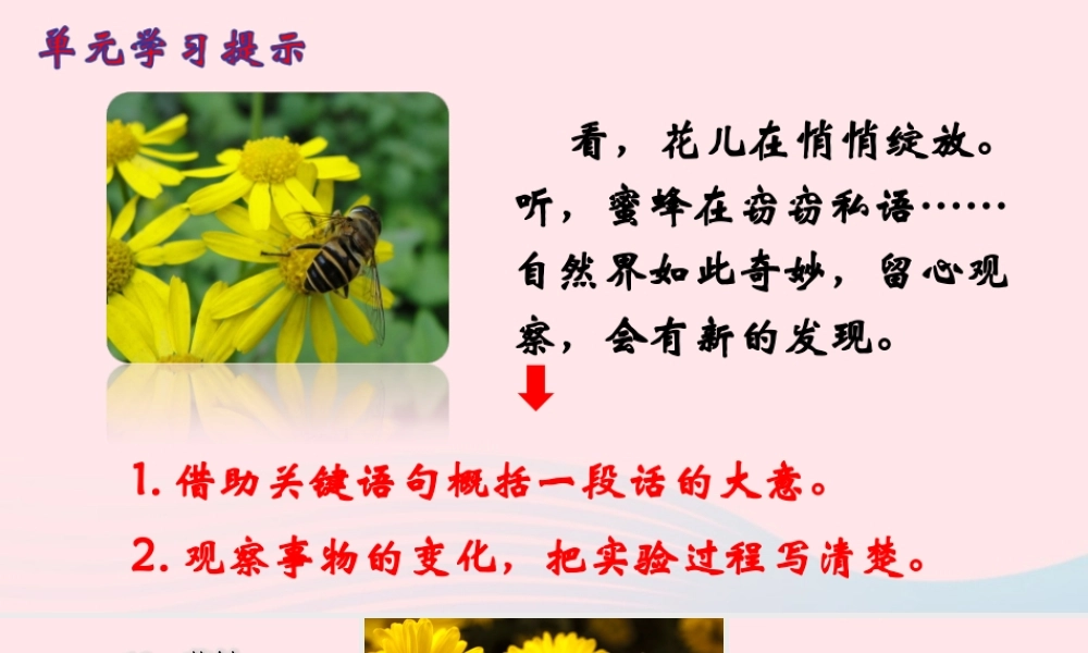 三年级语文下册 第四单元 13《花钟》课堂教学课件3 新人教版-新人教版小学三年级下册语文课件
