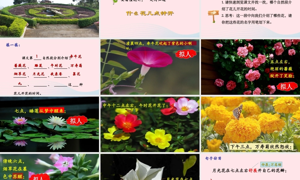三年级语文下册 第四单元 13《花钟》课堂教学课件3 新人教版-新人教版小学三年级下册语文课件