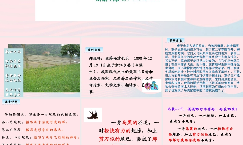 三年级语文下册 第一单元 2《燕子》课堂教学课件1 新人教版-新人教版小学三年级下册语文课件