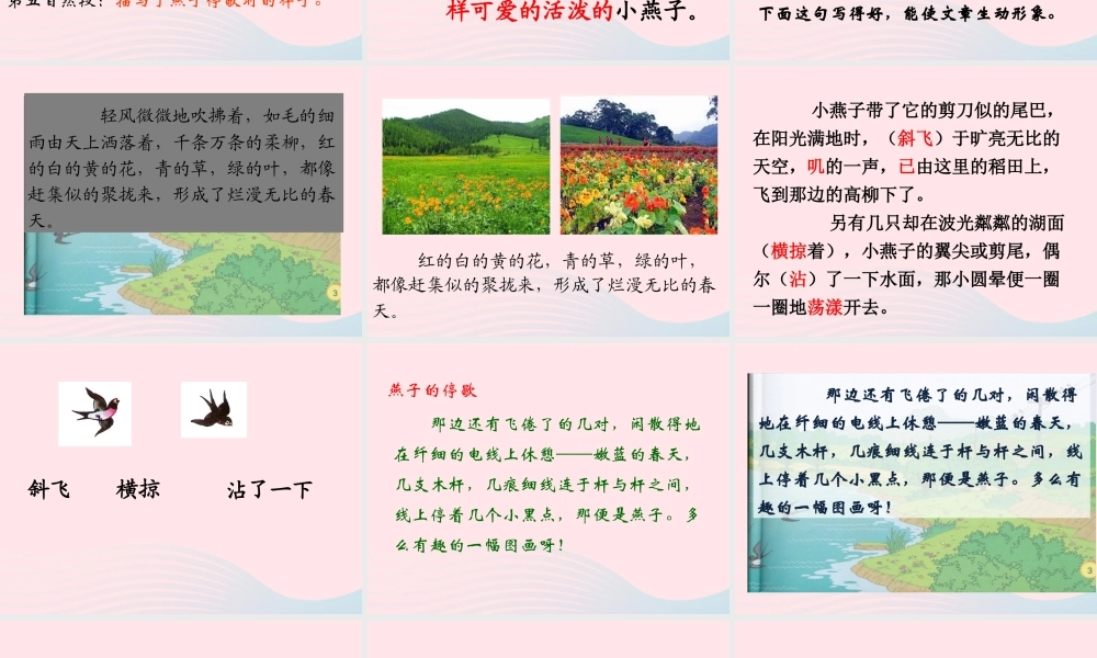 三年级语文下册 第一单元 2《燕子》课堂教学课件1 新人教版-新人教版小学三年级下册语文课件