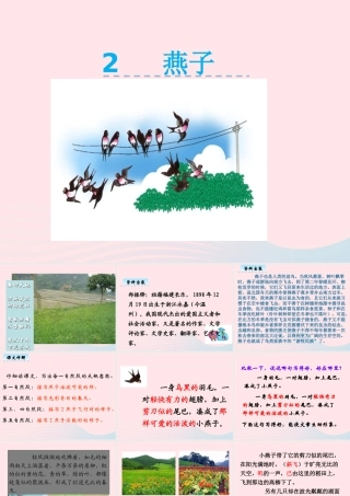 三年级语文下册 第一单元 2《燕子》课堂教学课件1 新人教版-新人教版小学三年级下册语文课件