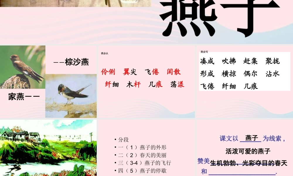 三年级语文下册 第一单元 2《燕子》课堂教学课件2 新人教版-新人教版小学三年级下册语文课件