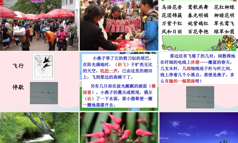 三年级语文下册 第一单元 2《燕子》课堂教学课件2 新人教版-新人教版小学三年级下册语文课件