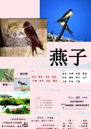 三年级语文下册 第一单元 2《燕子》课堂教学课件2 新人教版-新人教版小学三年级下册语文课件