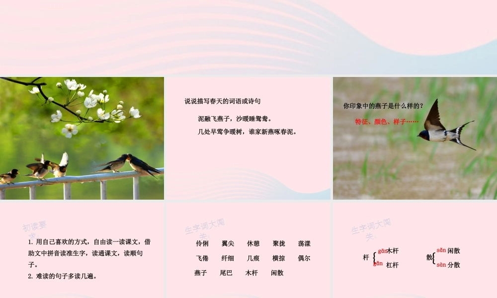 三年级语文下册 第一单元 2《燕子》名优精品课件 新人教版-新人教版小学三年级下册语文课件