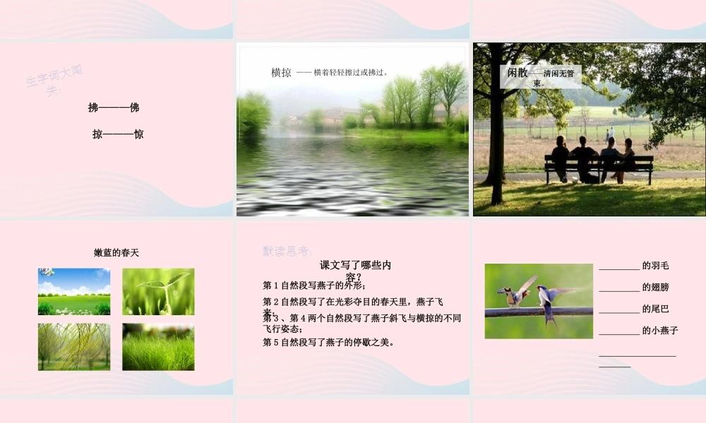 三年级语文下册 第一单元 2《燕子》名优精品课件 新人教版-新人教版小学三年级下册语文课件